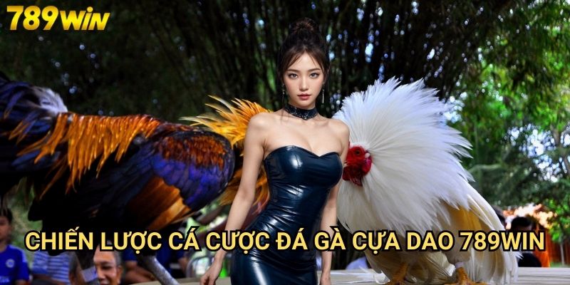 Đá gà cựa dao 789win - Hình thức đá gà kịch tính và hấp dẫn 3 Chiến lược cá cược đá gà cựa dao 789win
