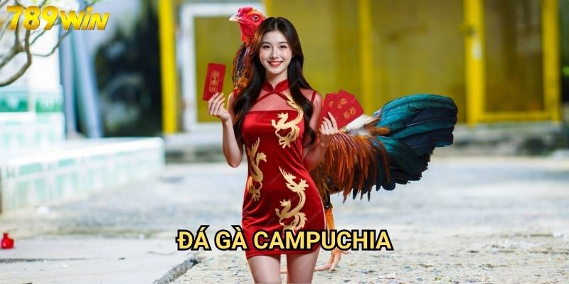 Đá gà Campuchia 789win - Trải nghiệm cá cược đá gà đẳng cấp quốc tế 1 Đá gà Campuchia 789win - Trải nghiệm cá cược đá gà đẳng cấp quốc tế