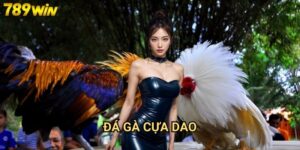 Đá gà cựa dao 789win - Hình thức đá gà kịch tính và hấp dẫn