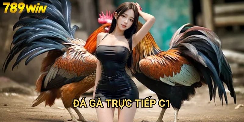 Đá gà trực tiếp C1 789win - Theo dõi giải đấu cao cấp nhất 1 Đá gà trực tiếp C1 789win - Theo dõi giải đấu cao cấp nhất