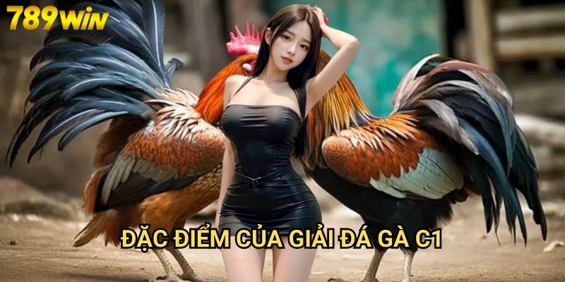 Đá gà trực tiếp C1 789win - Theo dõi giải đấu cao cấp nhất 2 Đặc điểm của giải đá gà C1
