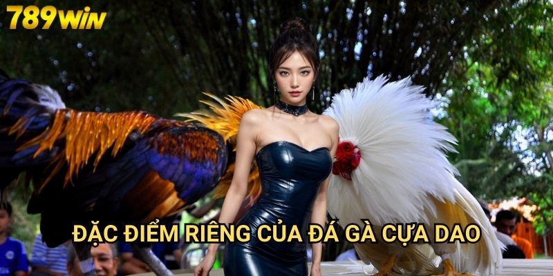 Đá gà cựa dao 789win - Hình thức đá gà kịch tính và hấp dẫn 2 Đặc điểm riêng của đá gà cựa dao