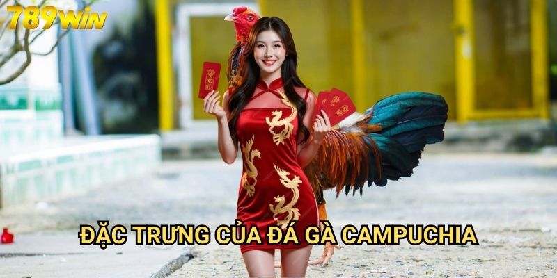 Đá gà Campuchia 789win - Trải nghiệm cá cược đá gà đẳng cấp quốc tế 2 Đặc trưng của đá gà Campuchia